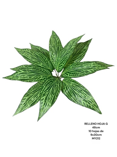 [MY212] HOJA RELLENO G 48CM 10HOJAS DE 9X33CM
