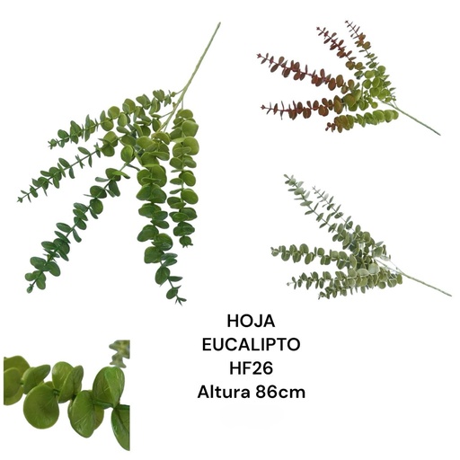 [HF26] HOJAS EUCALIPTO 86CM