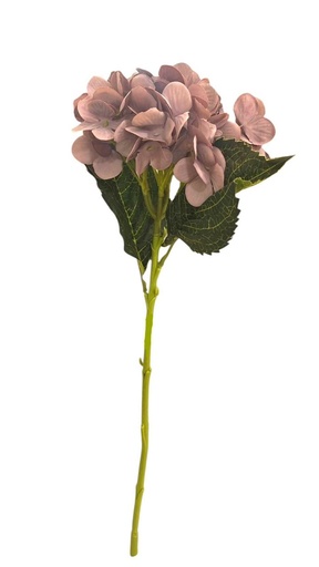 [HF25] HORTENSIA OTONIA 50CM  96PETALOS