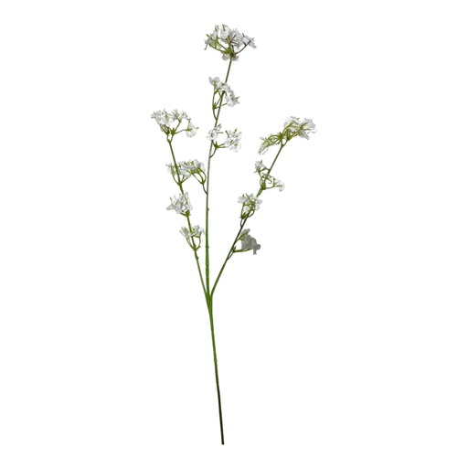 [YS3202] ILUSIONES 60CM