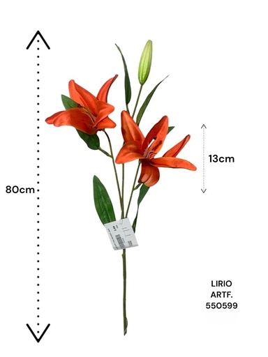 [550599] LIRIO ARTF. TF50-19051/D5474   80CM