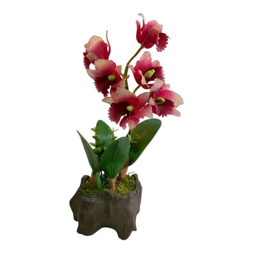 [20635] ORQUIDEA 5 FLORES CON MACETA EN FORMA DE TRONCO 33 CM