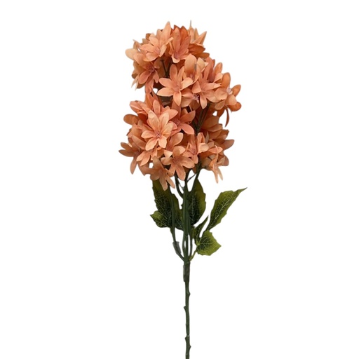 [MY113] RAMA ORQUIDEA CALANTHE 55CM (72FLOR DE 6CM)