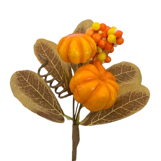 [8679811121185] PINCHO MINI RAMA CALABAZA