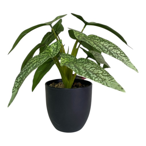 [1702335017621] PLANTA BEGONIA ARTIF. 27CM