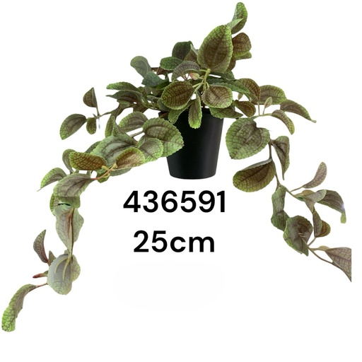 [4894616147770] PLANTA DECORATIVA PEQUEÑA PERILLA REF:CH06730286 25CM
