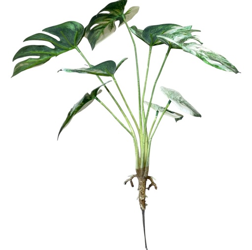 [1702335017423] PLANTA HOJA TORTUGA ARTF. 35CM