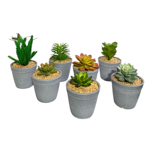 [5247845441567] PLANTA MACETA SUCULENTA 20CM