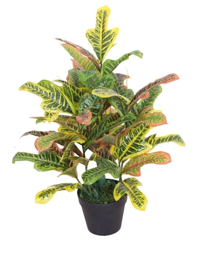 [21581] PLANTA OLIVIA 60CM