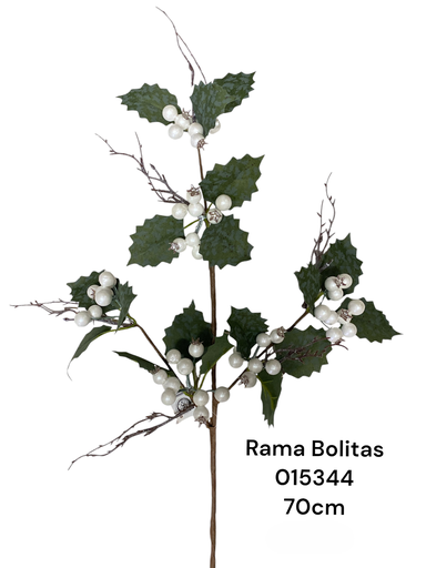 [1702335015344] RAMA CEREZA BLANCA