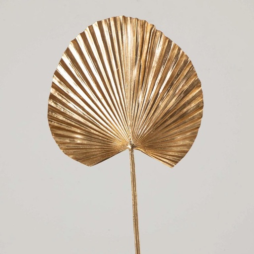 [1702335008032] RAMA GOLDEN PALM 54CM