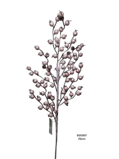 [1702335013517] RAMA GUAYABA PALOROSA 70CM