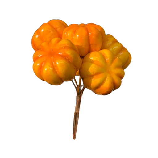[8679811121192] RAMO DE CALABAZAS SETX6 13CM