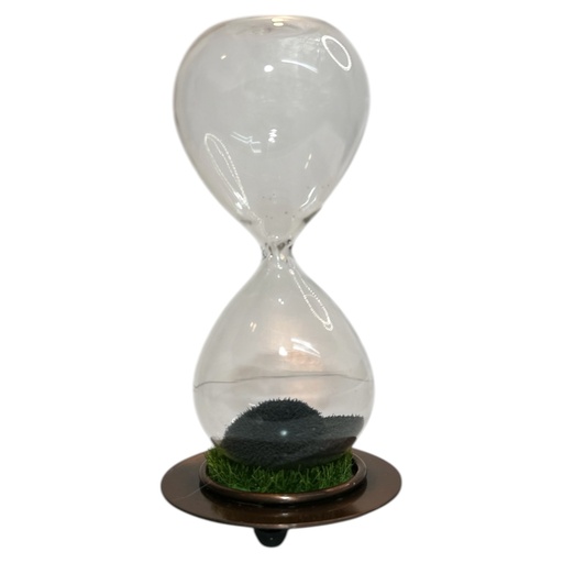 [8679818730892] RELOJ DE ARENA 20 SEGUNDOS