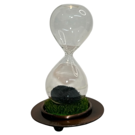 [8679818730915] RELOJ DE ARENA 20SEGUNDOS 12CM