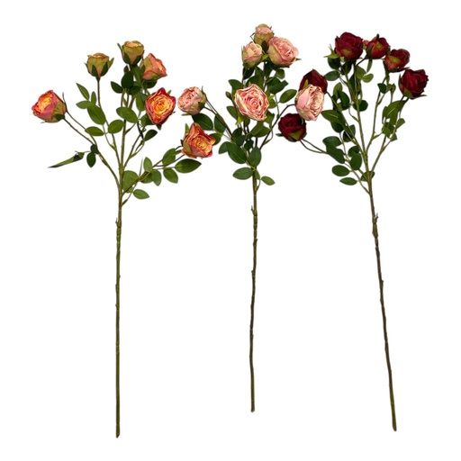 [MY146] ROSA DOROTA 65CM