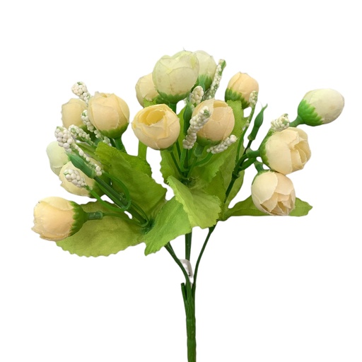 [H030] ROSAS 15