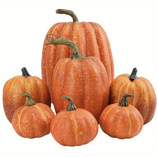 [0018160] SET X7 DE CALABAZAS