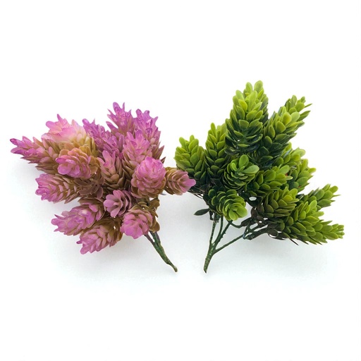 [WX07-06] SUCULENTAS Y CACTUS