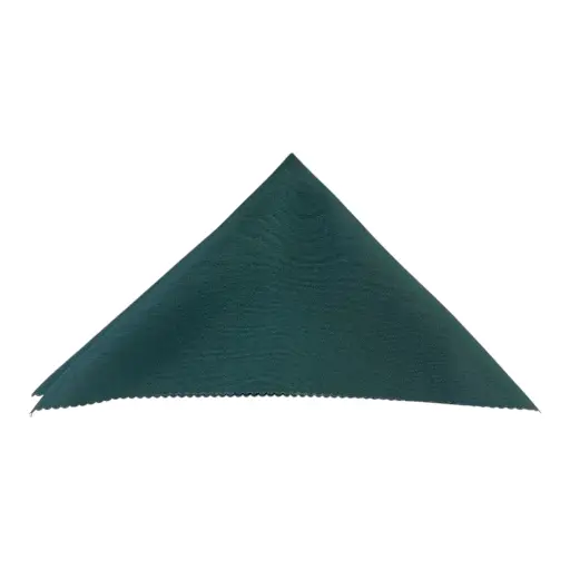 [8682800600387] SERVILLETA DE TELA VERDE POR UNIDAD 48X48CM