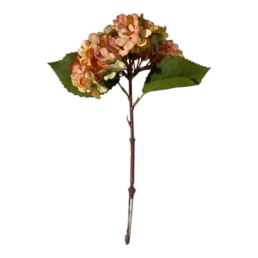 [HD216] HORTENSIA OLEO 35CM