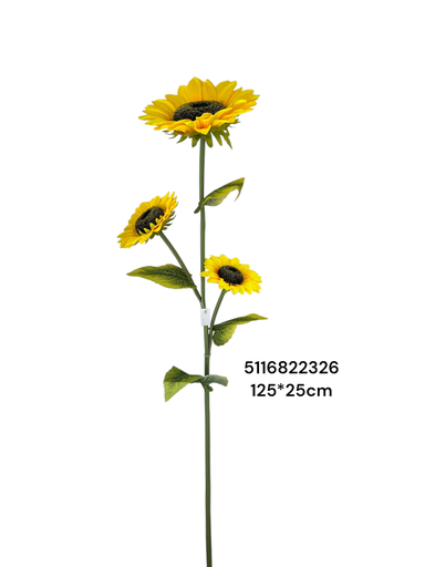 [5116822326] GIRASOL 125X25CM