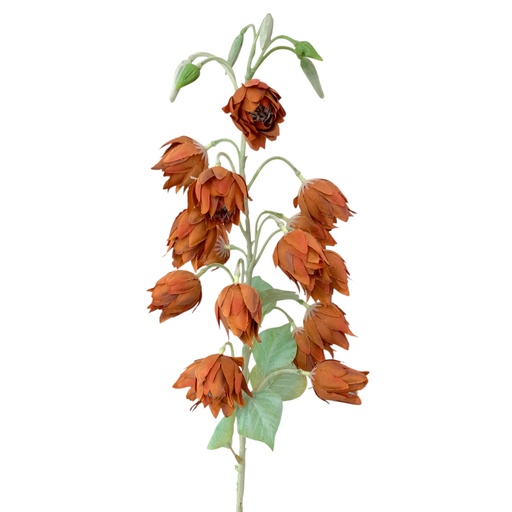 [6926582060512] SC6051 RAMA BOTONES 85CM