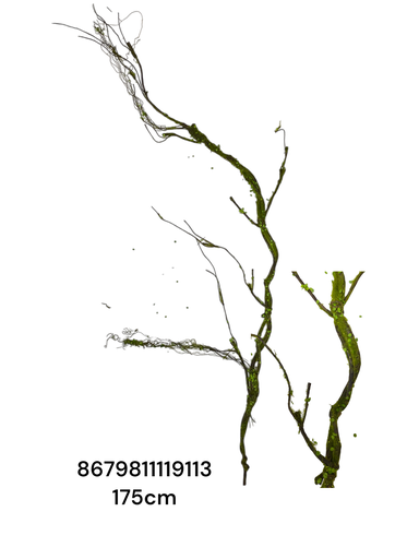 [8679811119113] RAMA CON MUSGO ARTF. 175CM