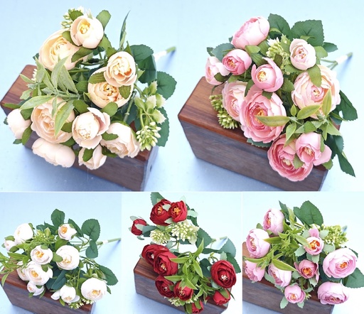 [A073] CAMELIA AUSTIN 30CM