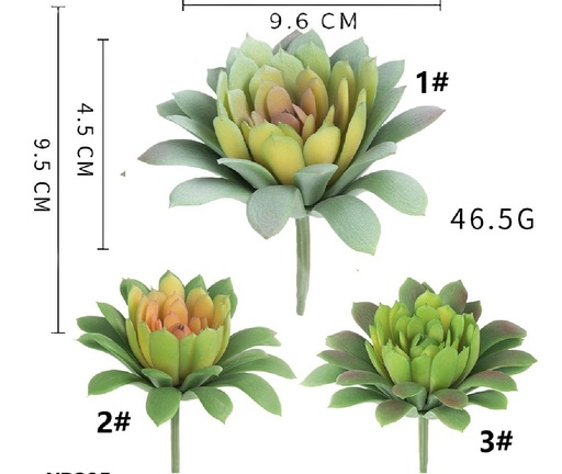 [YB295] SUCULENTA 10CM