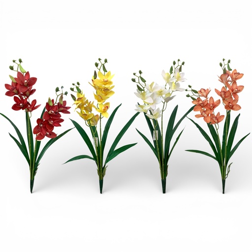 [5137] ORQUIDEA CYMBIDIUM LATEX 60CM