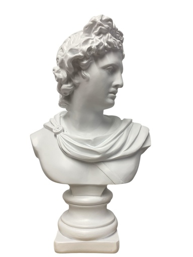 [FI-2025-1119] FI-2025-1119 BUSTO DAVID POLIRESINA 20X11X30CM