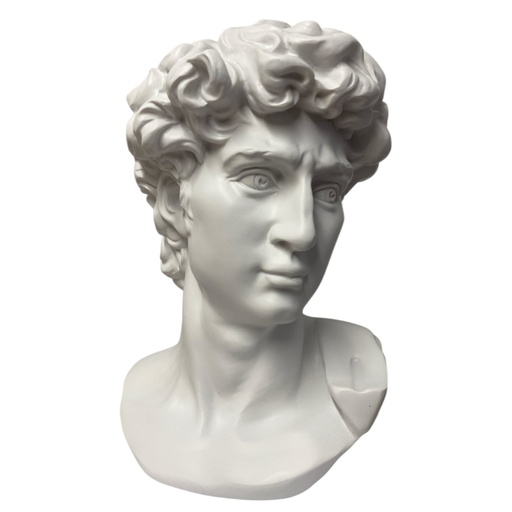 [202502020251114] BUSTO DAVID DE MIGUEL ANGEL POLIRESINA 20X18X30CM