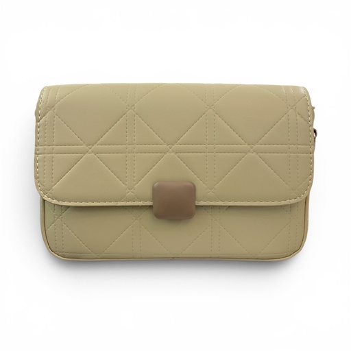 [C-6043] CARTERA DE DAMA