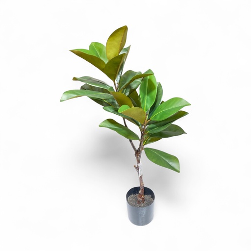 [4894616174202] PLANTA DECORATIVA MAGNOLIA REF:CH06441125 95CM