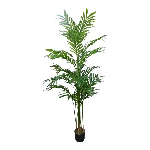 [23881] PALMA 190CM CON MACETA