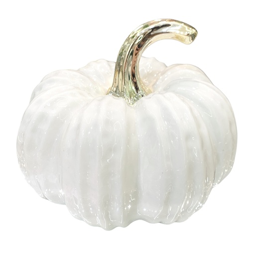 [FI-2025-2055] CALABAZA DE PORCELANA 18X18X13CM
