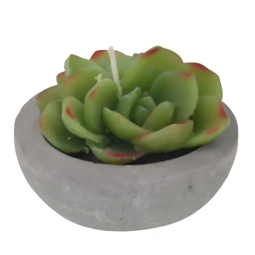 [459935] VELA DECORATIVA CACTUS REF:ES28013 8X7CM   