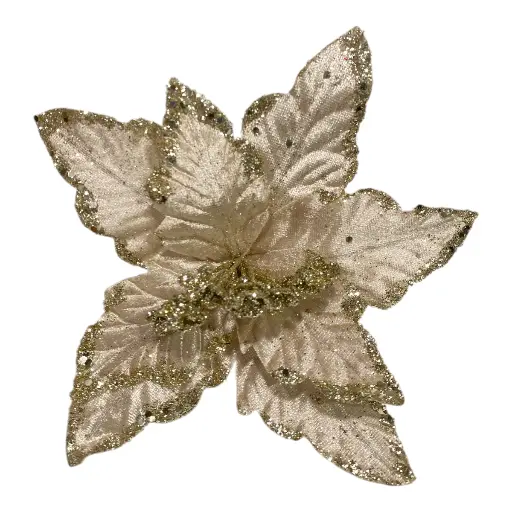 [8964647854377] FLOR NAVIDEÑA 22CM CHAMPAGNE TERCIOPELO