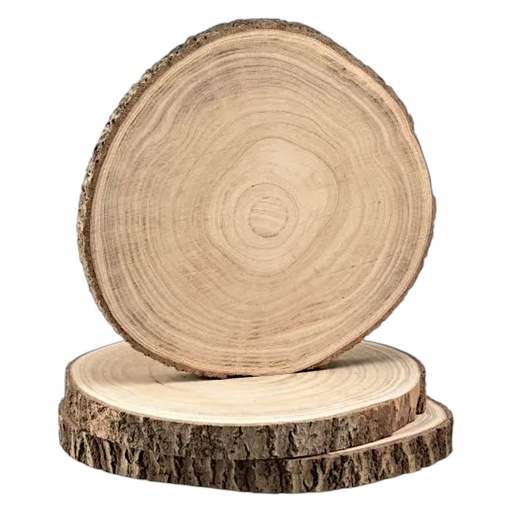 [S50493] BANDEJA O BASE DE MADERA TRONCO 29X29X2CM