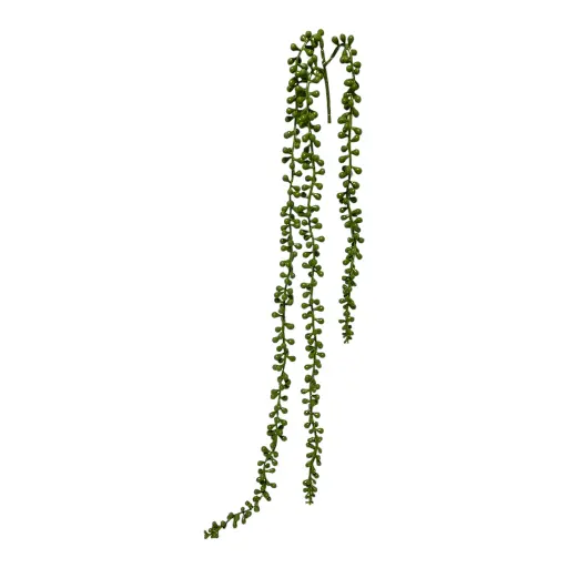 [S50775] SUCULENTA COLGANTE 60CM