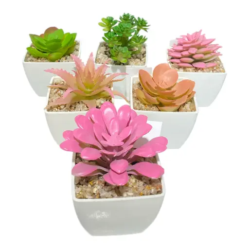 [266948] SUCULENTA ARTF. EN MACETA REF:ES22712 5X7CM 