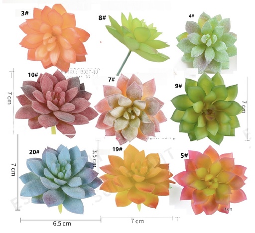 [YB027] SUCULENTA 7CM 