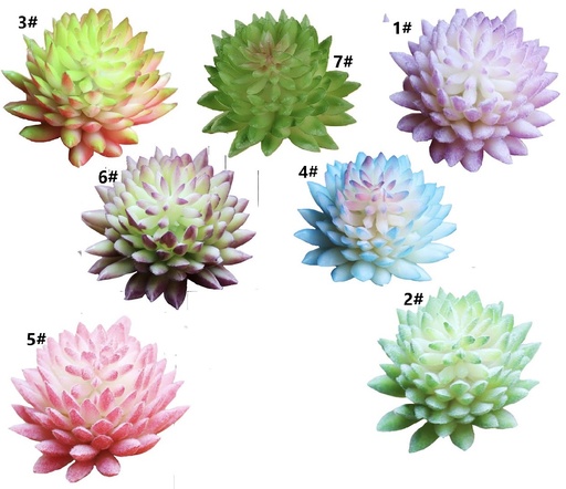 [YB046] SUCULENTA 5CM