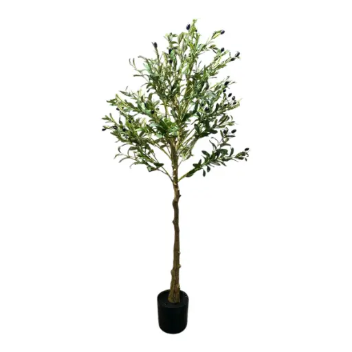 [1702335022397] PLANTA OLIVO ARTF. Ø80CM X 160CM 
