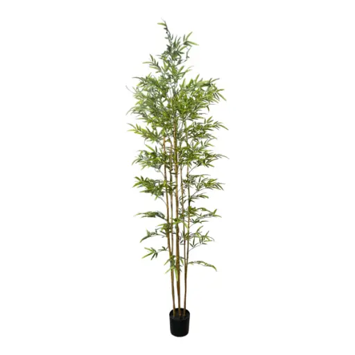 [1702335022618] PLANTA BAMBU ARTF. Ø80CM X 240CM