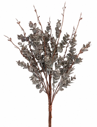 [1702335021253] Rama de eucalipto artificial estilo preservado 65cm