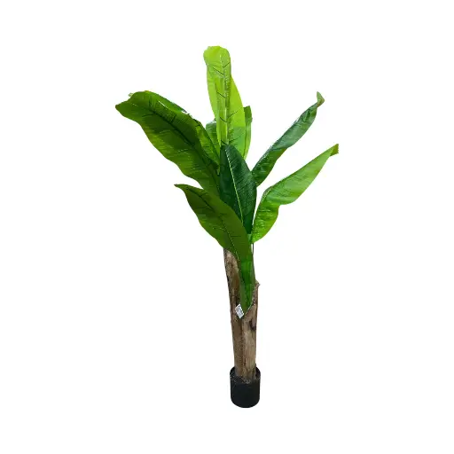 [1702335021413] PLANTA ARTF. BANANO 165CM 