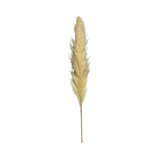 [S50888] PAMPA BEIGE LARGA ARTIFICIAL 90CM 